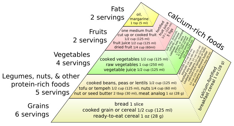 food pyramid worksheets for kids. Pyramid Worksheets food
